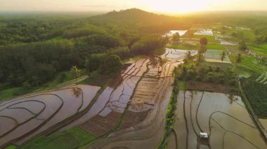 Endonezya 'da güzel bir sabah manzarası, dağ sıraları ve açık gökyüzü olan pirinç tarlalarının panoramik manzarası