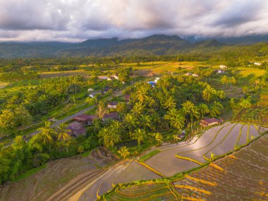 Endonezya 'da güzel bir sabah manzarası, dağ sıraları ve açık gökyüzü olan pirinç tarlalarının panoramik manzarası