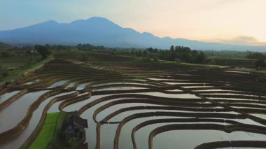Endonezya 'da güzel bir sabah manzarası, dağ sıraları ve açık gökyüzü olan pirinç tarlalarının panoramik manzarası
