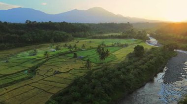 Endonezya 'da güzel bir sabah manzarası, dağ sıraları ve açık gökyüzü olan pirinç tarlalarının panoramik manzarası