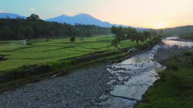 Endonezya 'da güzel bir sabah manzarası, dağ sıraları ve açık gökyüzü olan pirinç tarlalarının panoramik manzarası