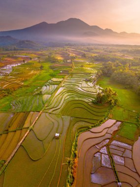 Endonezya 'da güzel bir sabah manzarası, dağ sıraları ve açık gökyüzü olan pirinç tarlalarının panoramik manzarası