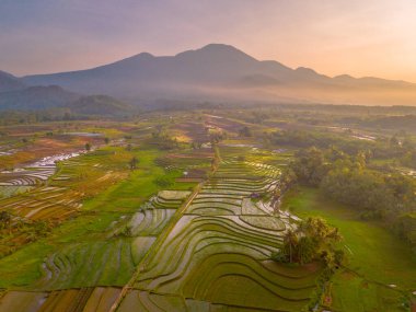 Endonezya 'da güzel bir sabah manzarası, dağ sıraları ve açık gökyüzü olan pirinç tarlalarının panoramik manzarası