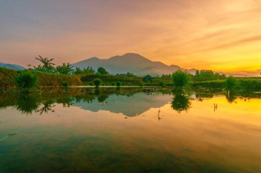 Endonezya 'da güzel bir sabah manzarası, dağ sıraları ve açık gökyüzü olan pirinç tarlalarının panoramik manzarası