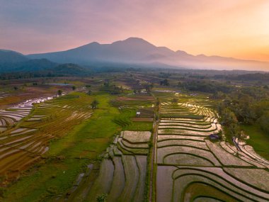 Endonezya 'da güzel bir sabah manzarası, dağ sıraları ve açık gökyüzü olan pirinç tarlalarının panoramik manzarası