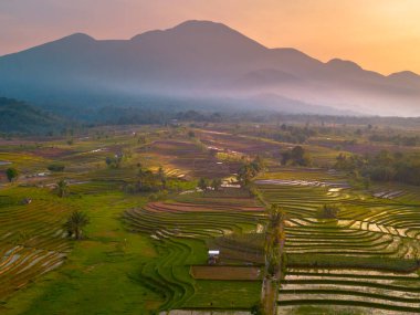 Endonezya 'da güzel bir sabah manzarası, dağ sıraları ve açık gökyüzü olan pirinç tarlalarının panoramik manzarası