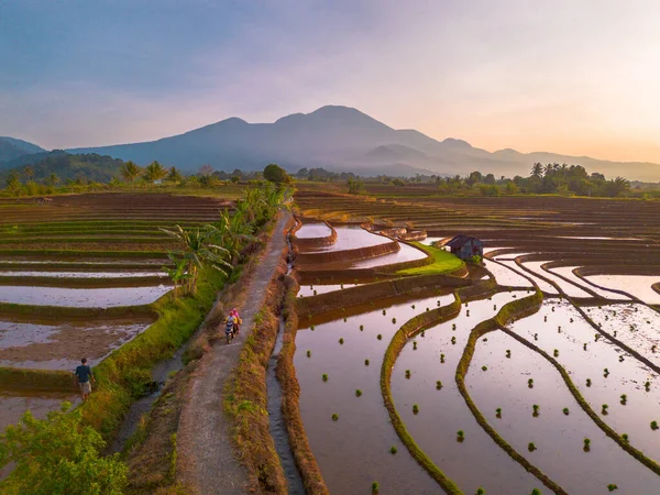 Endonezya 'da güzel bir sabah manzarası, dağ sıraları ve açık gökyüzü olan pirinç tarlalarının panoramik manzarası