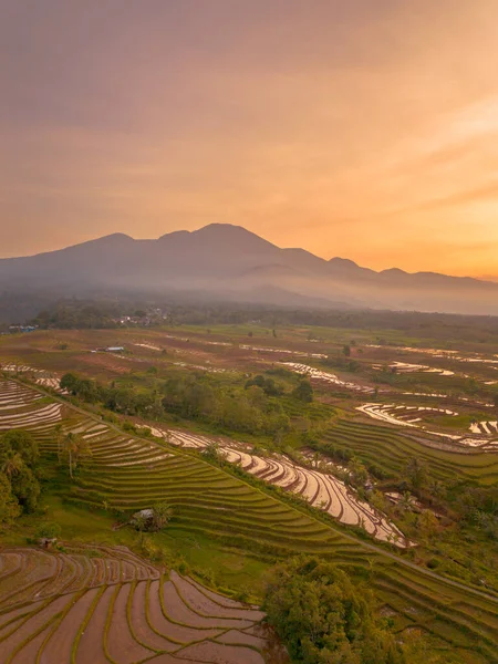 Endonezya 'da güzel bir sabah manzarası, dağ sıraları ve açık gökyüzü olan pirinç tarlalarının panoramik manzarası