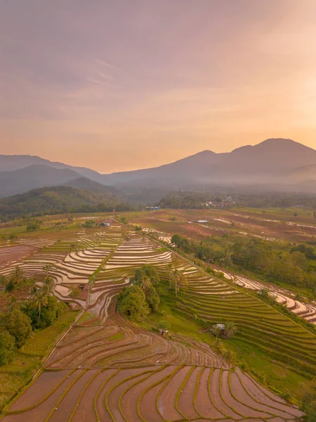 Endonezya 'da güzel bir sabah manzarası, dağ sıraları ve açık gökyüzü olan pirinç tarlalarının panoramik manzarası
