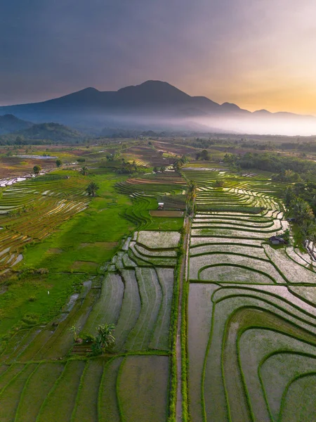 Endonezya 'da güzel bir sabah manzarası, dağ sıraları ve açık gökyüzü olan pirinç tarlalarının panoramik manzarası