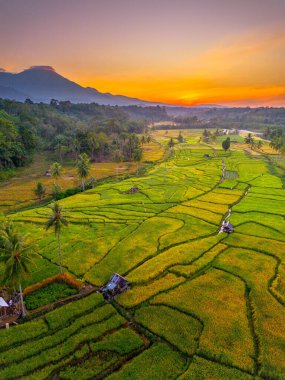 Endonezya 'da güzel bir sabah manzarası, dağ sıraları ve açık gökyüzü olan pirinç tarlalarının panoramik manzarası
