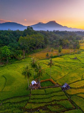Endonezya 'da güzel bir sabah manzarası, dağ sıraları ve açık gökyüzü olan pirinç tarlalarının panoramik manzarası