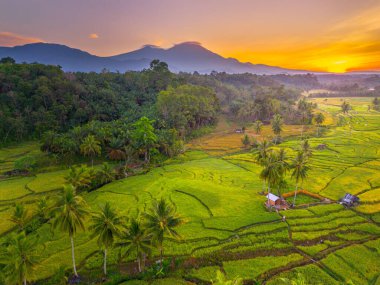 Endonezya 'da güzel bir sabah manzarası, dağ sıraları ve açık gökyüzü olan pirinç tarlalarının panoramik manzarası