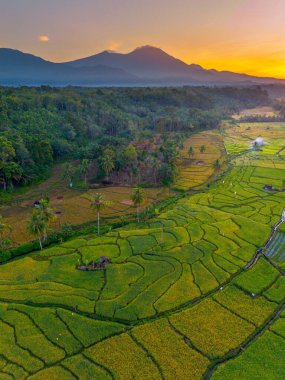 Endonezya 'da güzel bir sabah manzarası, dağ sıraları ve açık gökyüzü olan pirinç tarlalarının panoramik manzarası