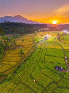 Endonezya 'da güzel bir sabah manzarası, dağ sıraları ve açık gökyüzü olan pirinç tarlalarının panoramik manzarası