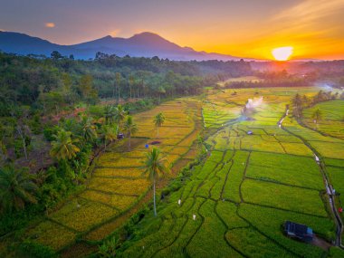 Endonezya 'da güzel bir sabah manzarası, dağ sıraları ve açık gökyüzü olan pirinç tarlalarının panoramik manzarası