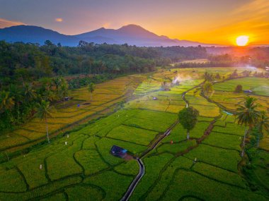 Endonezya 'da güzel bir sabah manzarası, dağ sıraları ve açık gökyüzü olan pirinç tarlalarının panoramik manzarası