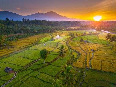 Endonezya 'da güzel bir sabah manzarası, dağ sıraları ve açık gökyüzü olan pirinç tarlalarının panoramik manzarası