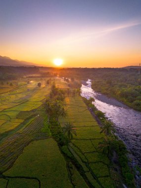 Endonezya 'da güzel bir sabah manzarası, dağ sıraları ve açık gökyüzü olan pirinç tarlalarının panoramik manzarası