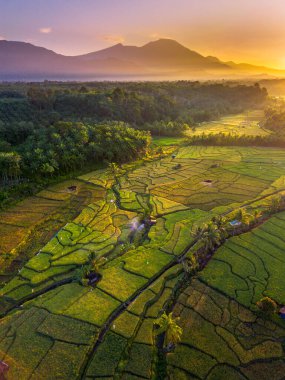 Endonezya 'da güzel bir sabah manzarası, dağ sıraları ve açık gökyüzü olan pirinç tarlalarının panoramik manzarası