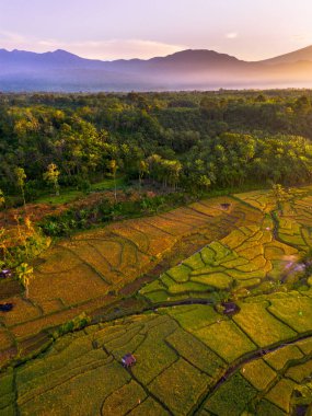 Endonezya 'da güzel bir sabah manzarası, dağ sıraları ve açık gökyüzü olan pirinç tarlalarının panoramik manzarası