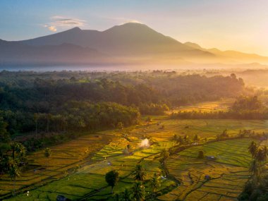 Endonezya 'da güzel bir sabah manzarası, dağ sıraları ve açık gökyüzü olan pirinç tarlalarının panoramik manzarası