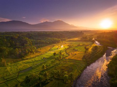 Endonezya 'da güzel bir sabah manzarası, dağ sıraları ve açık gökyüzü olan pirinç tarlalarının panoramik manzarası