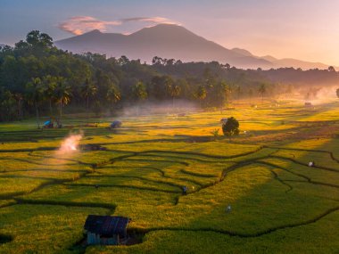 Endonezya 'da güzel bir sabah manzarası, dağ sıraları ve açık gökyüzü olan pirinç tarlalarının panoramik manzarası
