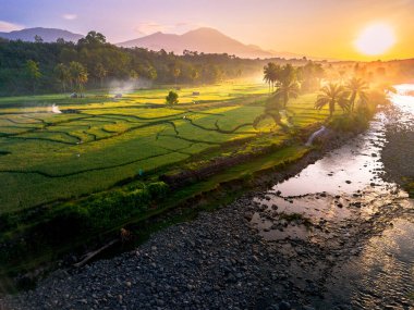 Endonezya 'da güzel bir sabah manzarası, dağ sıraları ve açık gökyüzü olan pirinç tarlalarının panoramik manzarası