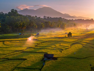 Endonezya 'da güzel bir sabah manzarası, dağ sıraları ve açık gökyüzü olan pirinç tarlalarının panoramik manzarası
