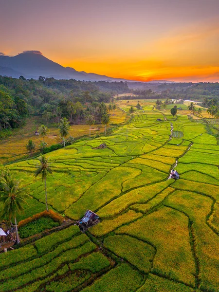 Endonezya 'da güzel bir sabah manzarası, dağ sıraları ve açık gökyüzü olan pirinç tarlalarının panoramik manzarası