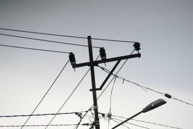 Sabah bahçede Endonezya çiçeklerinin güzelliği