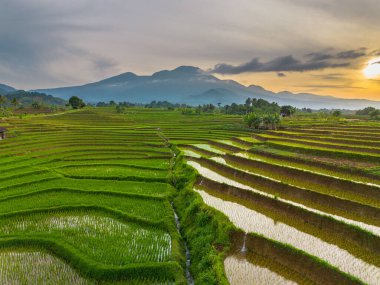 Endonezya 'nın Kemumu Tarım Bölgesi' nde Oruç Sezonu