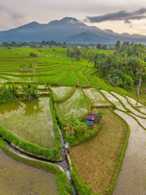 Endonezya 'nın Kemumu Tarım Bölgesi' nde Oruç Sezonu