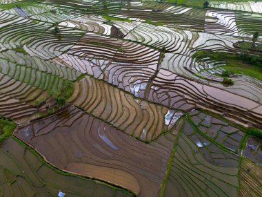 Endonezya 'nın Kemumu Tarım Bölgesi' nde Oruç Sezonu