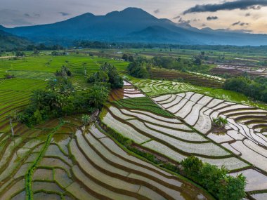Endonezya 'nın Kemumu Tarım Bölgesi' nde Oruç Sezonu