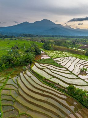 Endonezya 'nın Kemumu Tarım Bölgesi' nde Oruç Sezonu