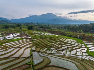 Endonezya 'nın Kemumu Tarım Bölgesi' nde Oruç Sezonu