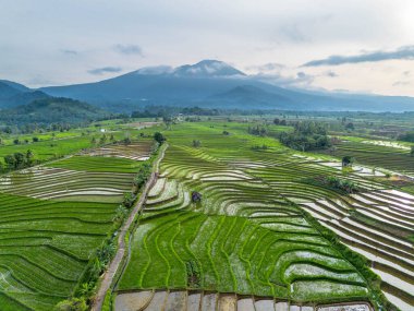 Endonezya 'nın Kemumu Tarım Bölgesi' nde Oruç Sezonu