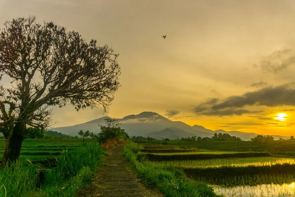 Endonezya 'nın Kemumu Tarım Bölgesi' nde Oruç Sezonu