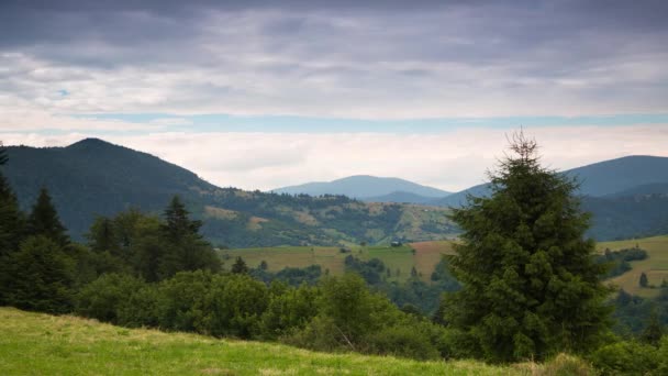 Multi-gelaagde wolken over beboste bergen. Time-lapse 4k — Stockvideo