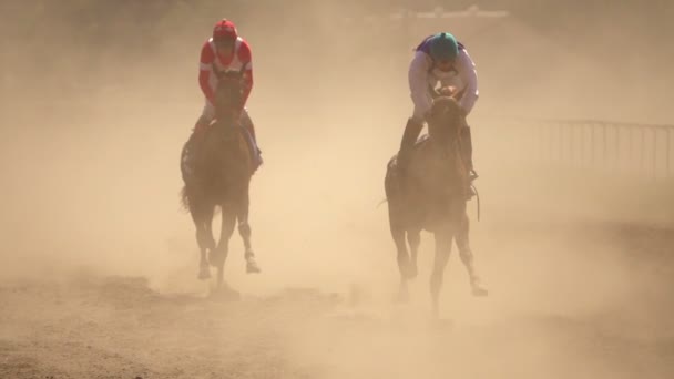 Deux cavaliers dans la poussière. Super ralenti — Video