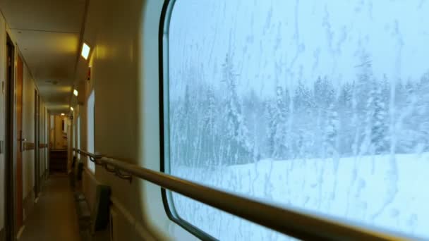 Поездка на поезде по зимнему лесу — стоковое видео