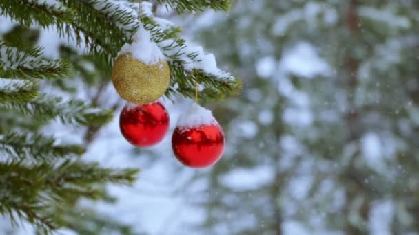 Vánoční koule na stromě v lese a sněžení