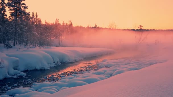 Rosa de la noche niebla sobre el bosque cubierto de nieve y un río — Vídeo de stock