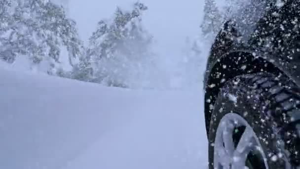Condução em Winter Forest Road e Snowfall — Vídeo de Stock