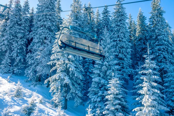 冬日的森林里阳光明媚 滑雪板升降机的空舱 树枝上有很多雪 — 图库照片