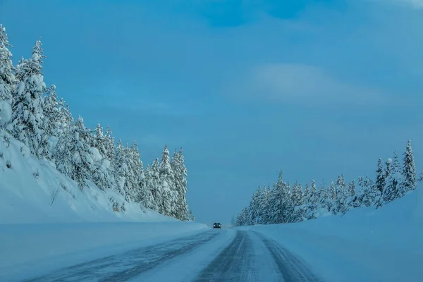 Finlandiya Kış Yolunda Bir Akşam Yol Kenarında Köknar Ağaçlarında Çok — Stok fotoğraf