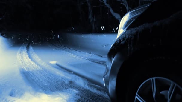 Éjszaka Téli Erdei Úton Hóesés Autó Fényszóróinak Fényében Zökkenőmentes Hurok — Stock videók