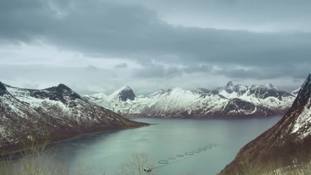 Isola Senja Invernale Norvegia Nuvole Pesanti Sopra Fiordo Montagne Movimento — Video Stock